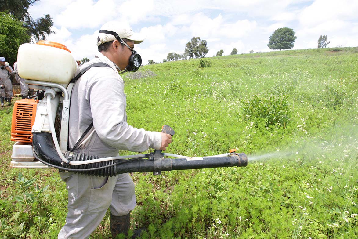 ZAMORA, MICH.- Como una alternativa viable para reducir el índice de contaminantes y emisiones tóxicas en el campo del valle de Zamora, el sector agroindustrial y el Consejo Coordinador Empresarial de Zamora (CCEZ), están desarrollando acciones conjuntas para liberar al sector agropecuario de las llamadas malas prácticas, mismas que inhiben el desarrollo económico de la zona.foto Iván Sánchez